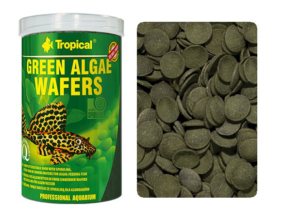 Oblátky zo zelených rias so spirulinou 250 ml | krmivo pre prisavníky